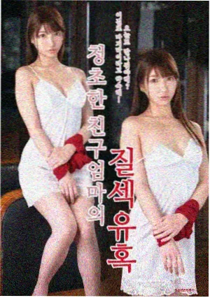 雾港回声 电视剧全集在线观看播放